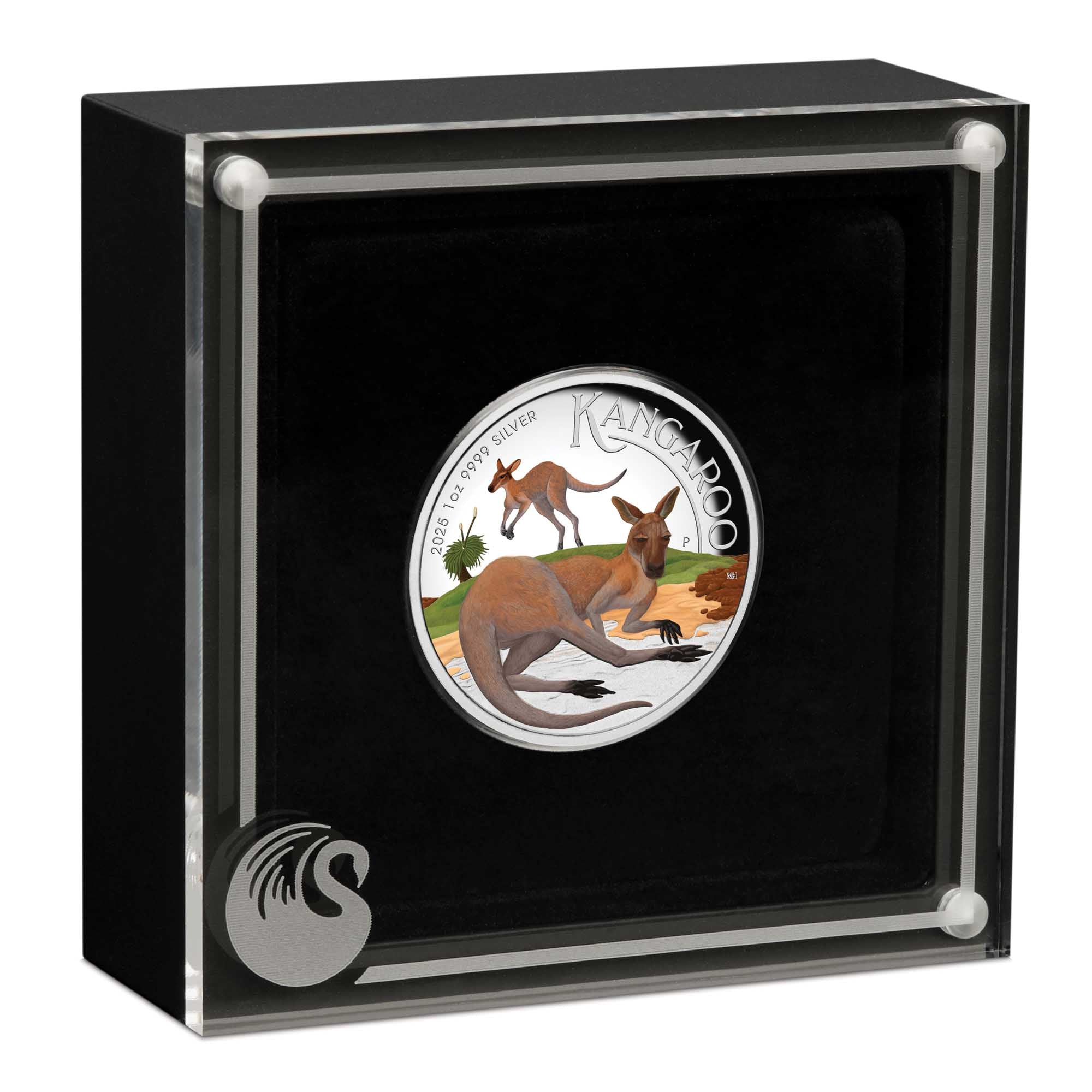 Australian Kangaroo 2025 1oz Silver Proof High Relief Coloured Coin