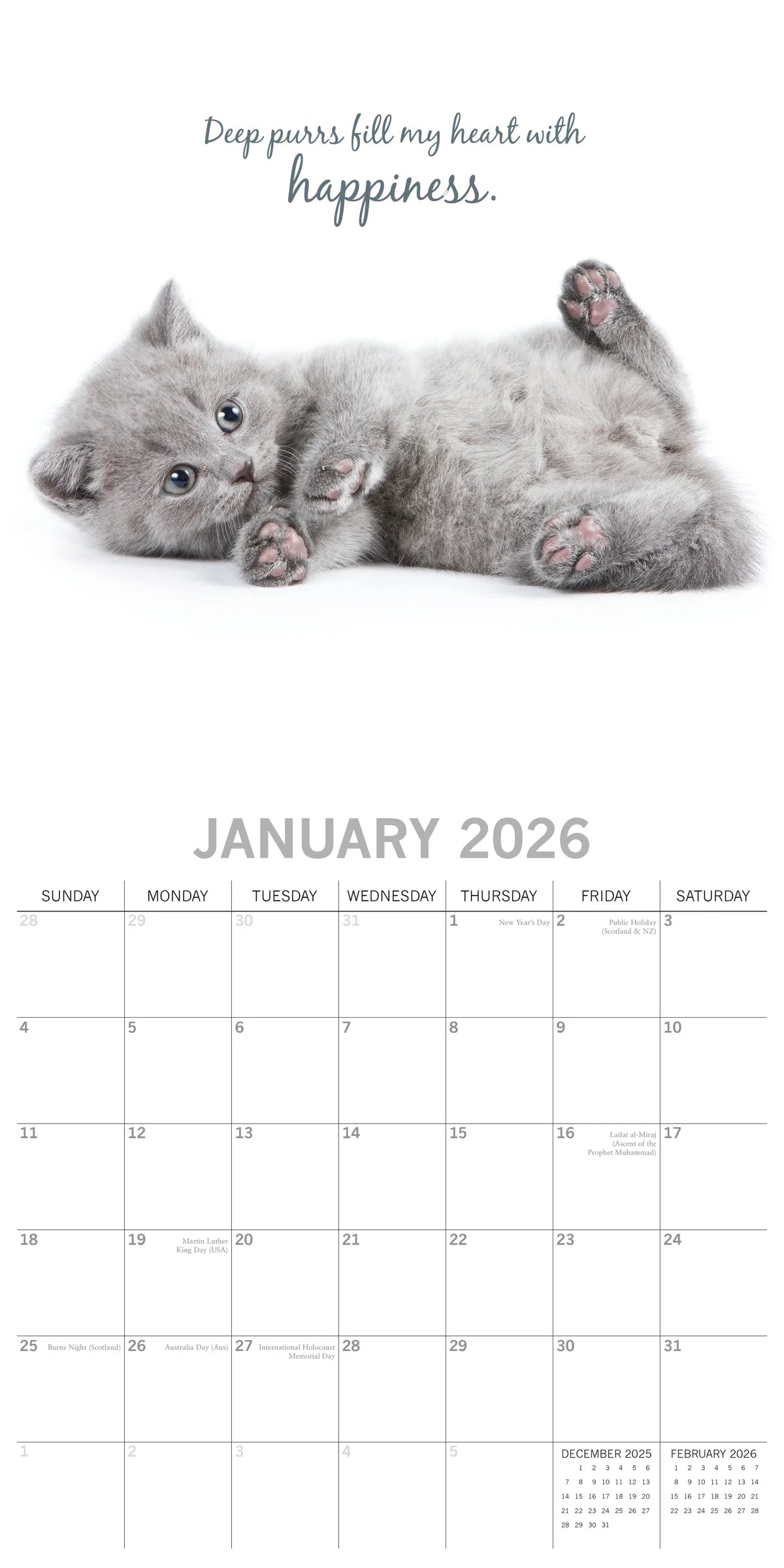 2026 Cute Kittens Square Wall Calendar | The Gifted Stationery Co. (GSC26067)