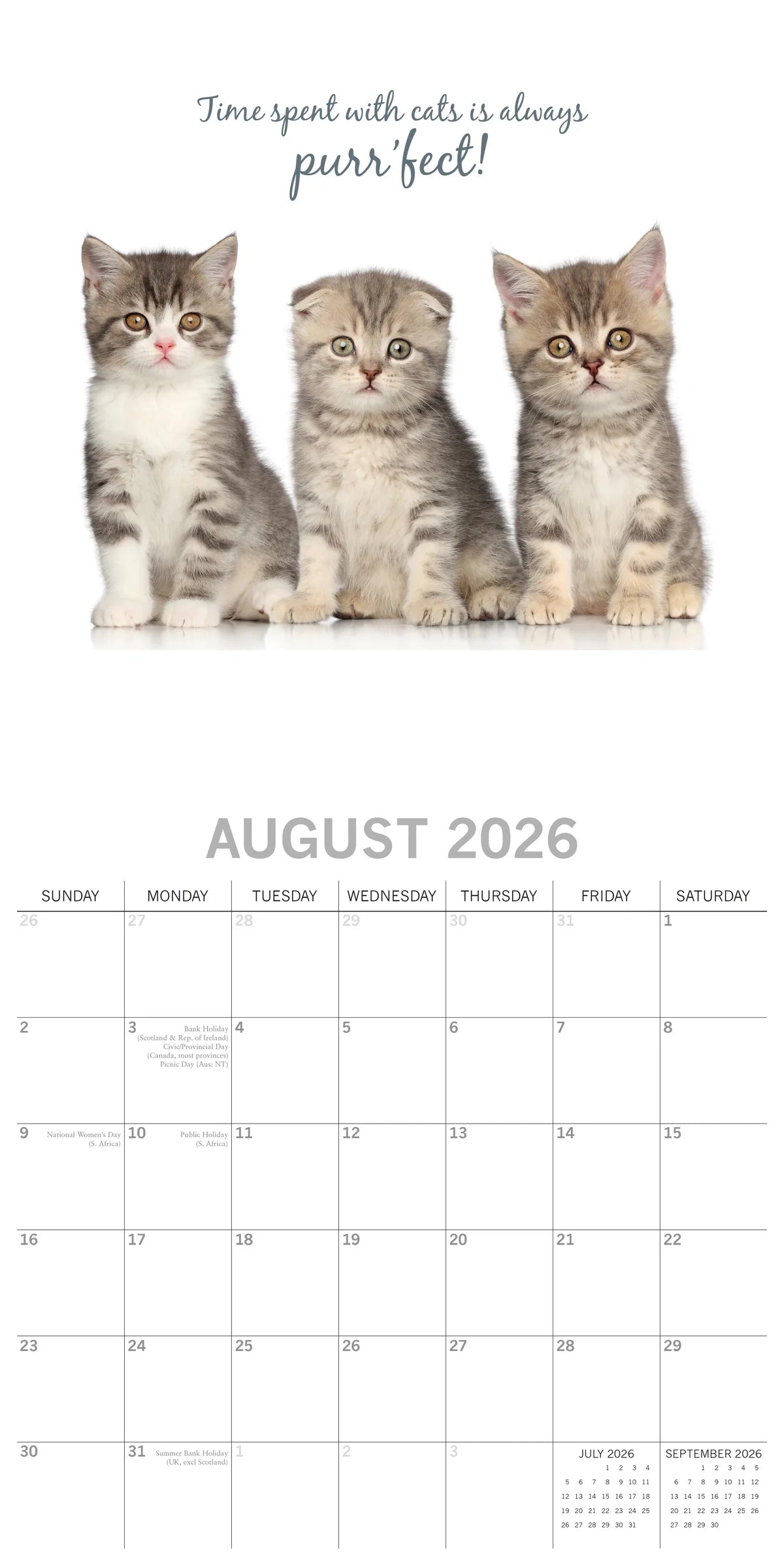 2026 Cute Kittens Square Wall Calendar | The Gifted Stationery Co. (GSC26067)