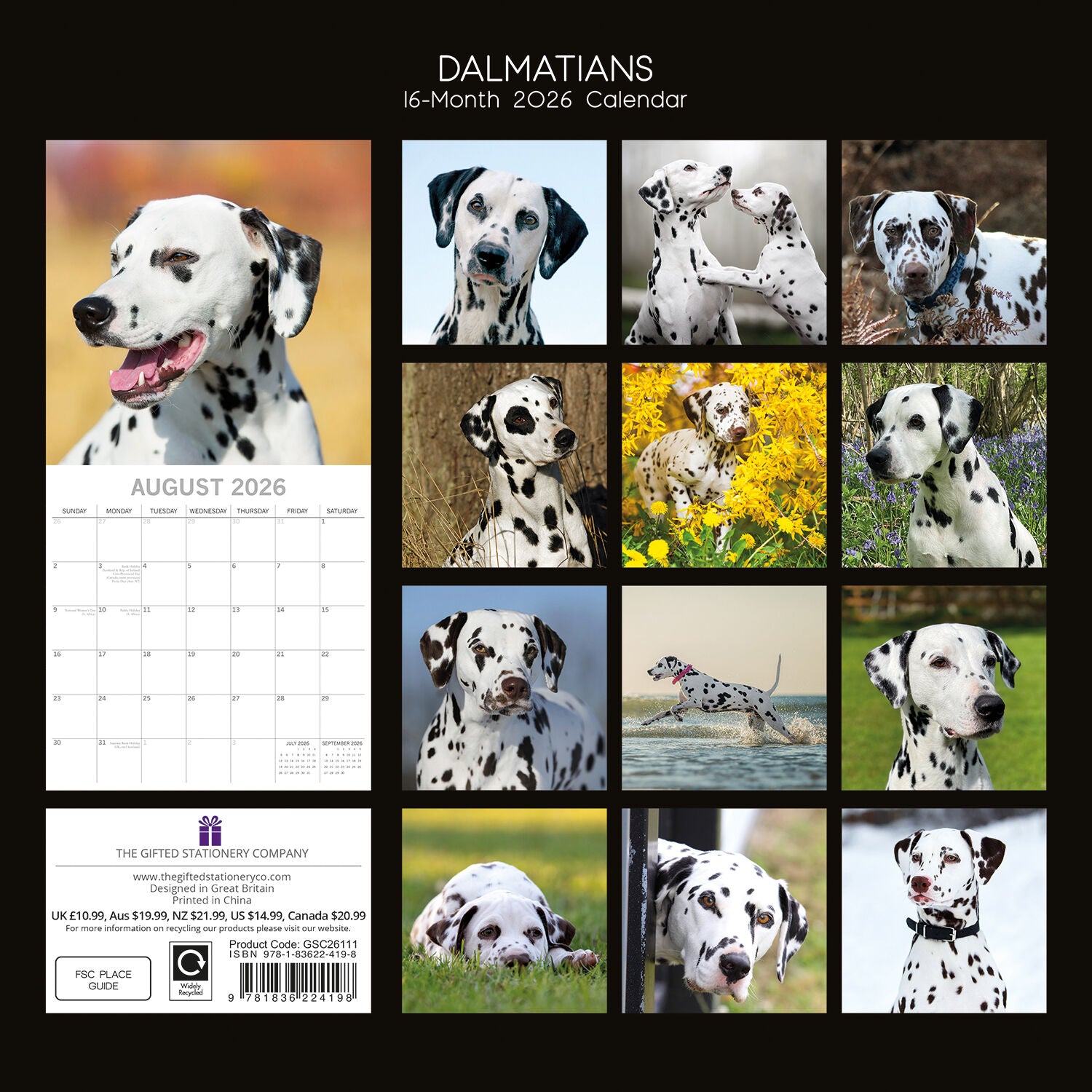 2026 Paw Prints Dalmatians – Square Wall Calendar| The Gifted Stationery Co. (GSC26111)