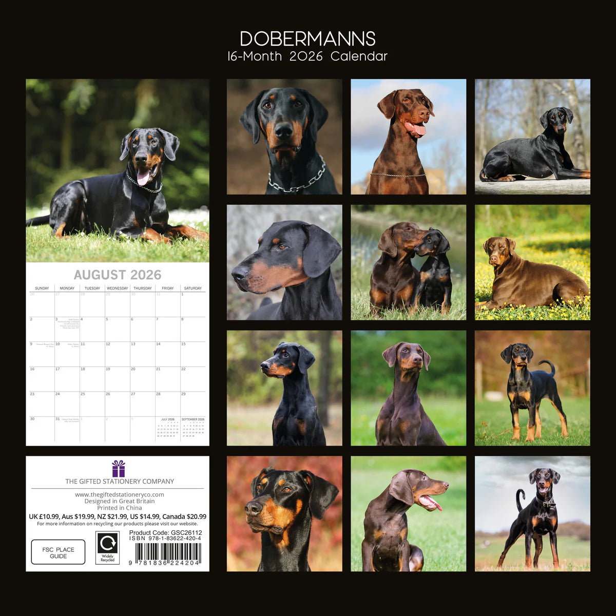 2026 Paw Prints Dobermans – Square Wall Calendar| The Gifted Stationery Co. (GSC26112)