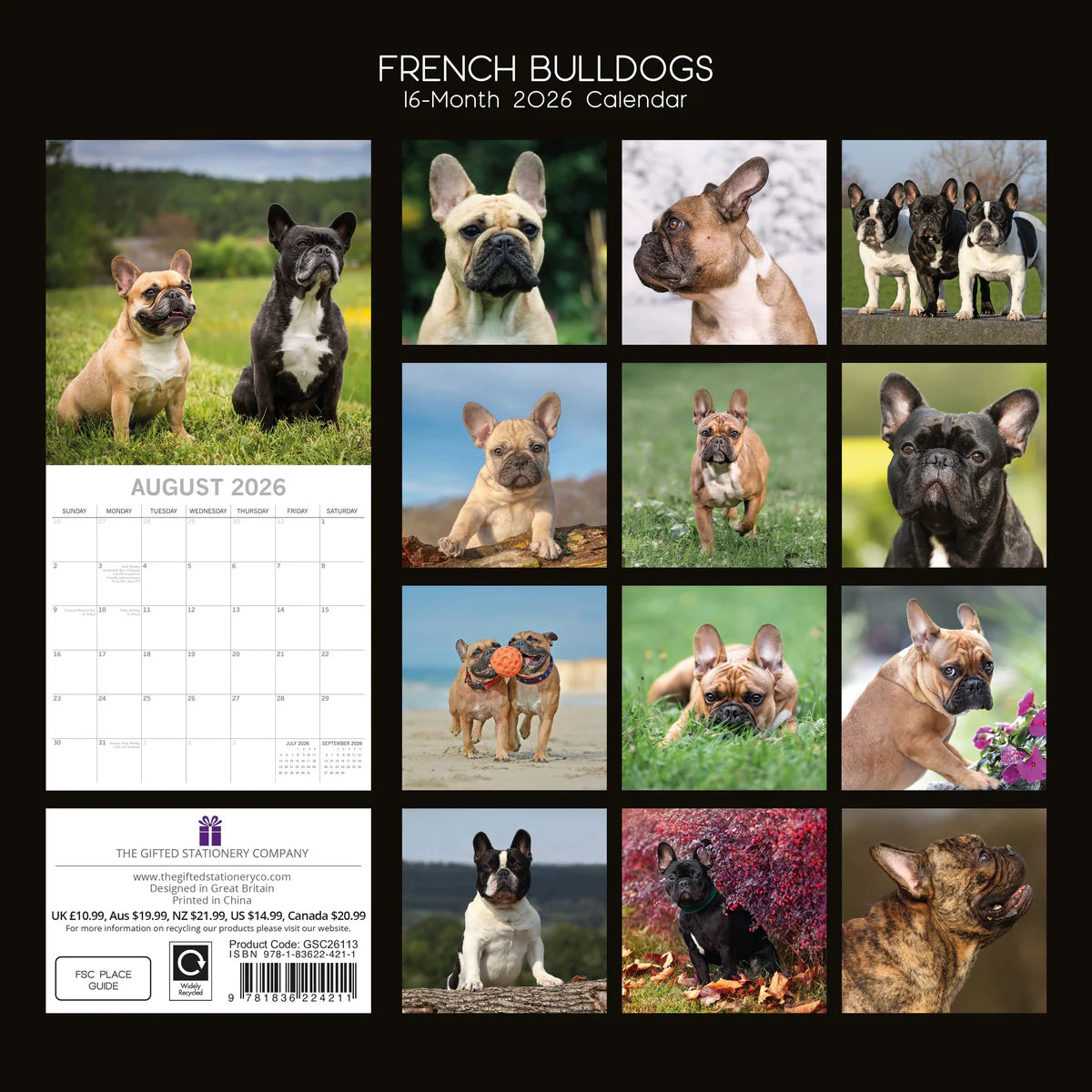 2026 Paw Prints French Bulldogs – Square Wall Calendar| The Gifted Stationery Co. (GSC26113)
