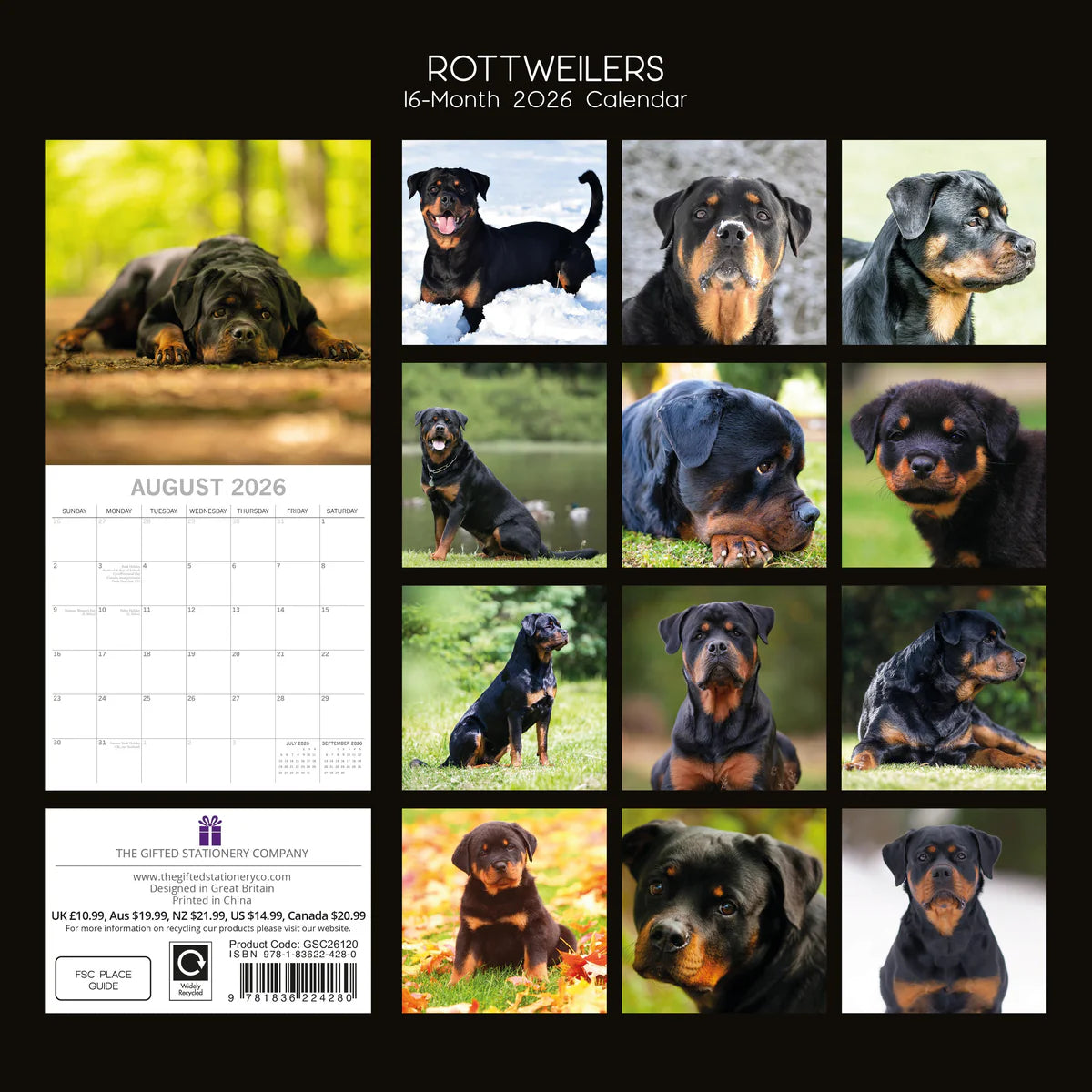 2026 Paw Prints Rottweilers – Square Wall Calendar| The Gifted Stationery Co. (GSC261120)