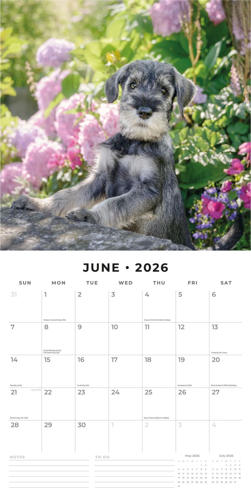 Adorable Dogs - 2026 Red Robin Square Wall Calendar Monthly Planner RR261002