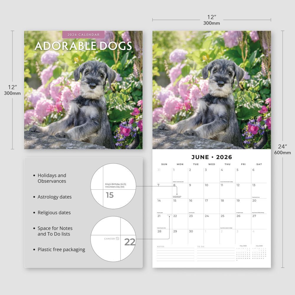 Adorable Dogs - 2026 Red Robin Square Wall Calendar Monthly Planner RR261002