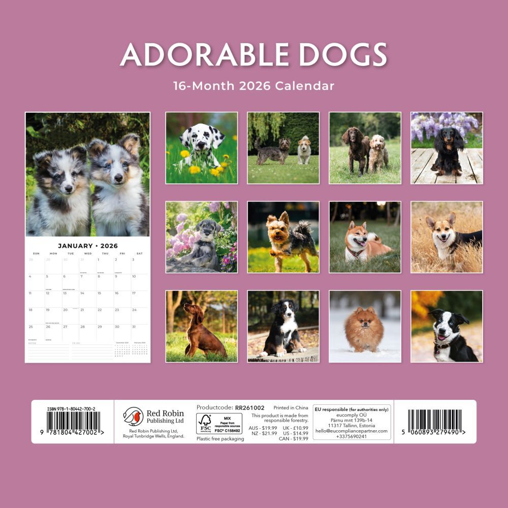 Adorable Dogs - 2026 Red Robin Square Wall Calendar Monthly Planner RR261002