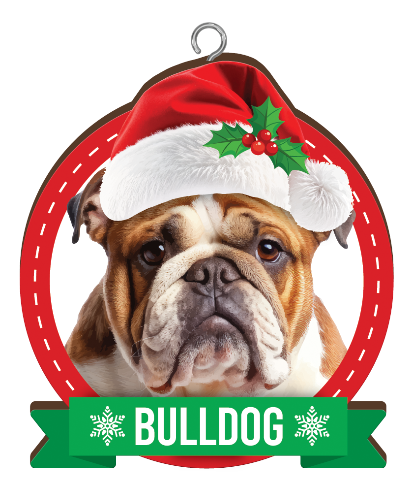Close-up of Bulldog Christmas ornament with Santa hat holly and green name banner