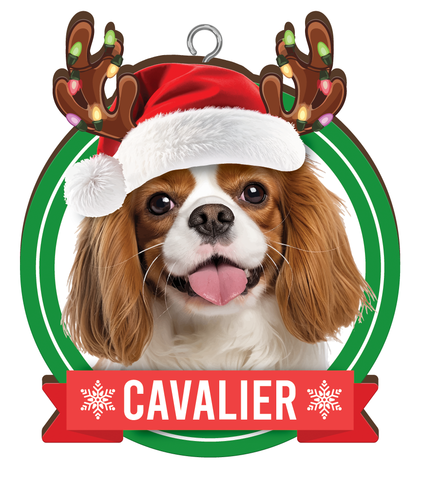 Cavalier Christmas Mug and Christmas Tree Ornament Combo - Includes a 420ml Mug in the box and Christmas Tree Ornament, Christmas Gift