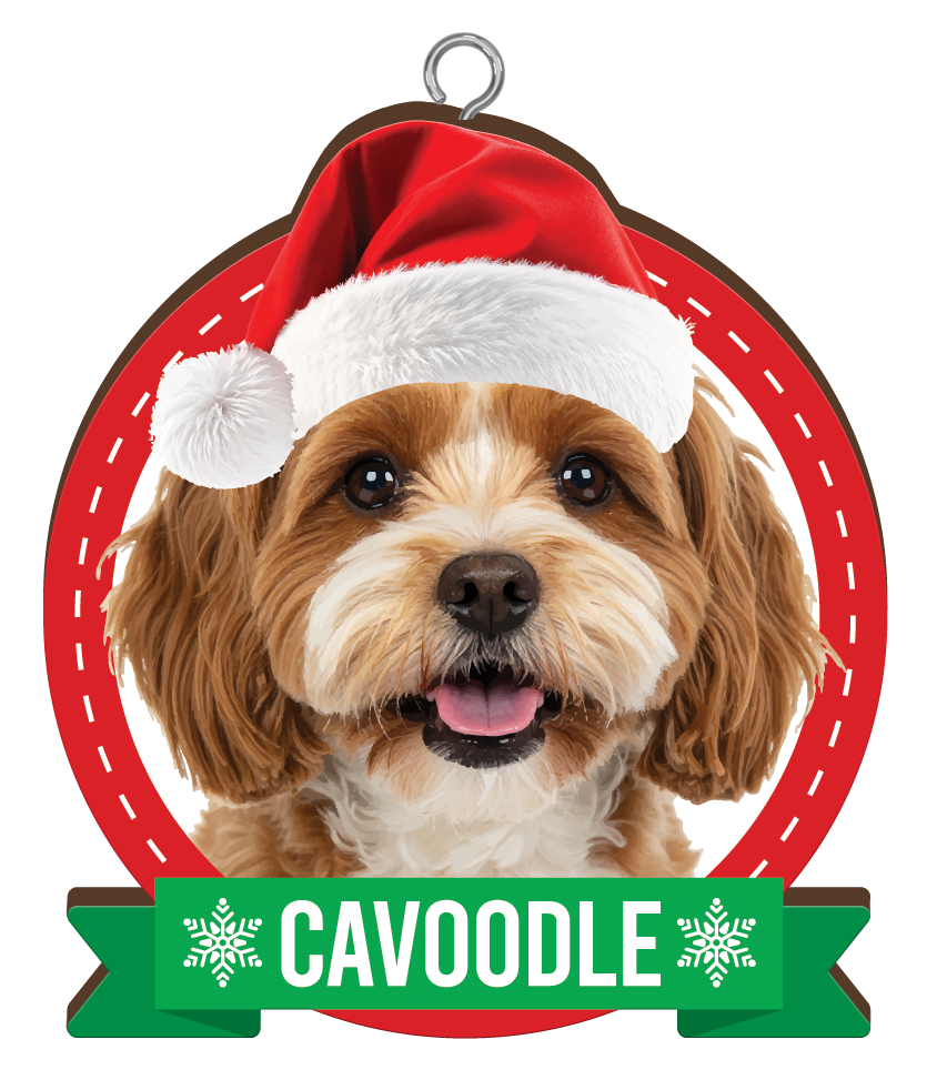 Cavoodle Christmas Mug and Christmas Tree Ornament Combo - Includes a 420ml Mug in the box and Christmas Tree Ornament, Christmas Gift