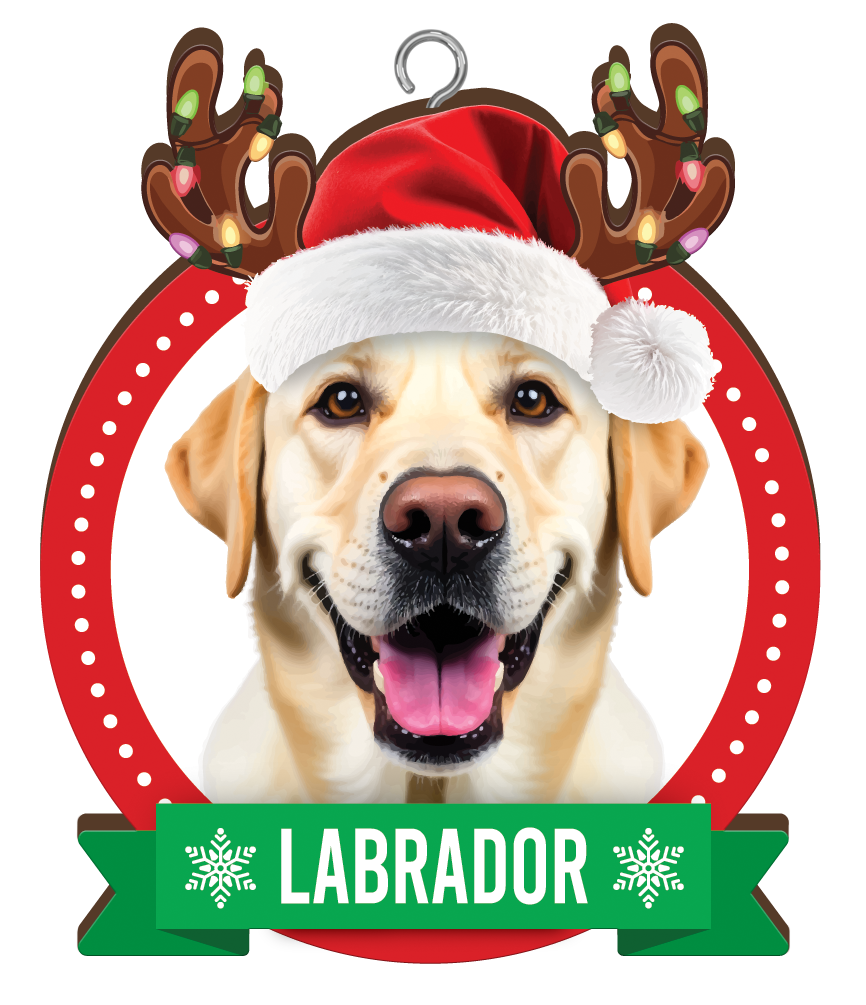 Labrador Christmas Mug and Christmas Tree Ornament Combo - Includes a 420ml Mug in the box and Christmas Tree Ornament, Christmas Gift