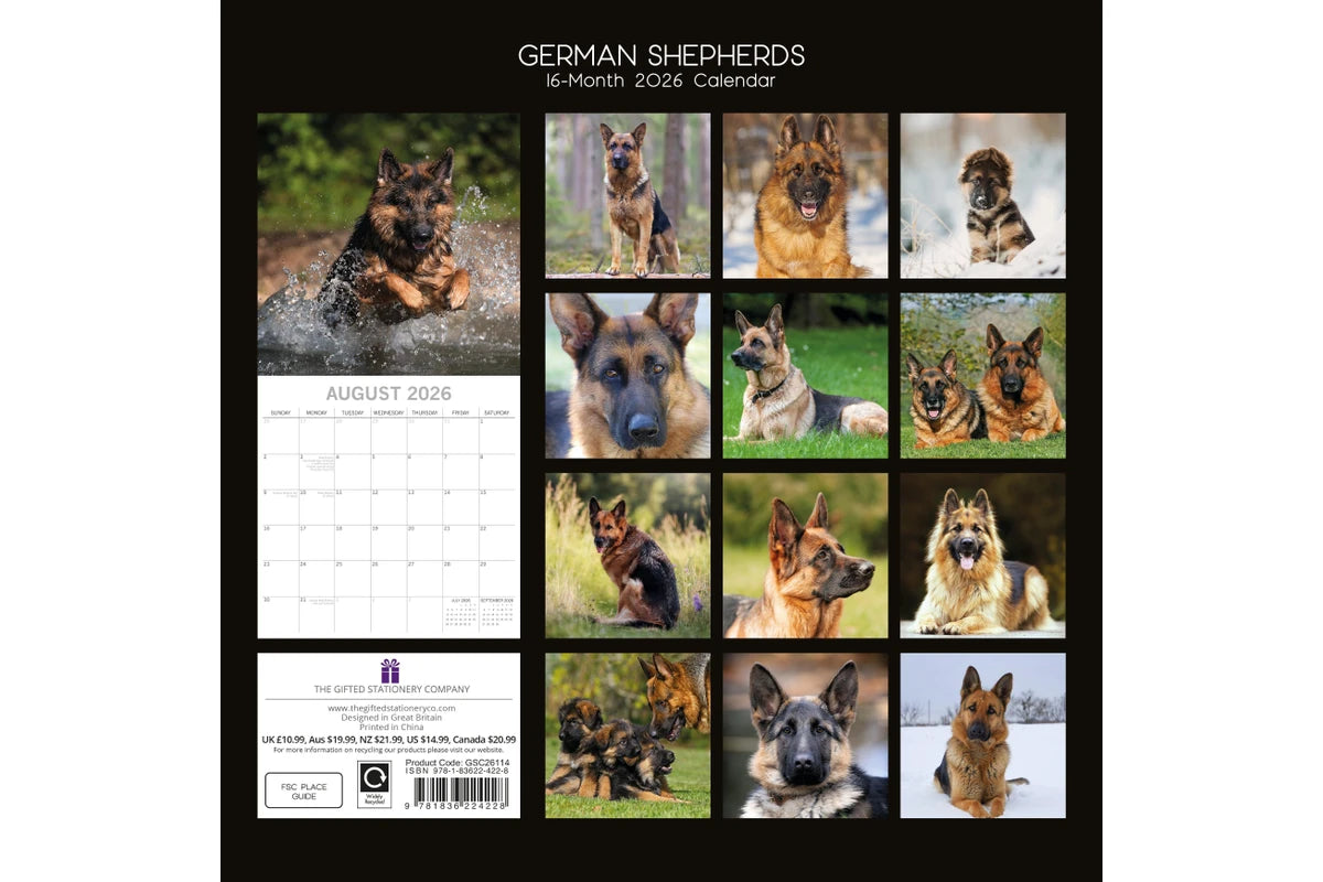 German Shepherds 2026 Calendar - back cover showing all monthly photos