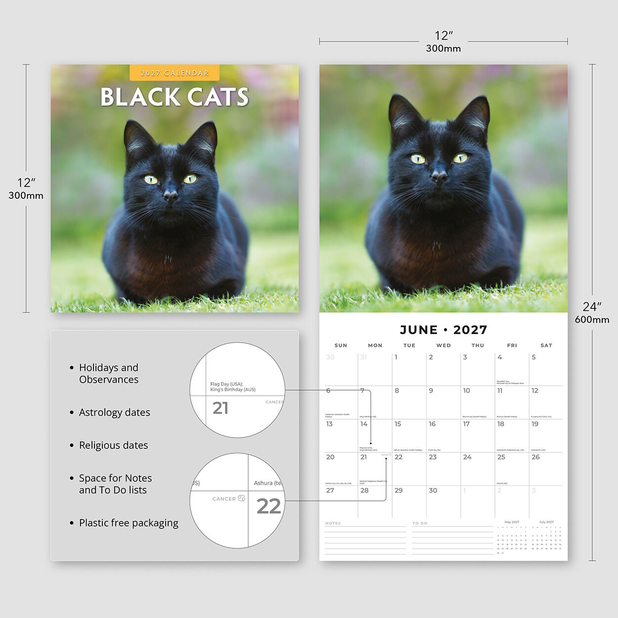 Black Cats 2027 Calendar – wall display showing August 2027 page in a home setting