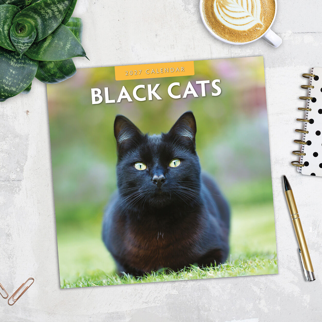 Black Cats 2027 Calendar – June 2027 monthly page with black cat photo