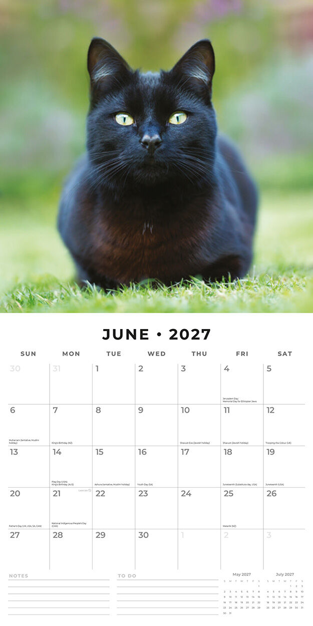 Black Cats 2027 Calendar – size dimensions showing 12x12 inch closed and 12x24 inch open