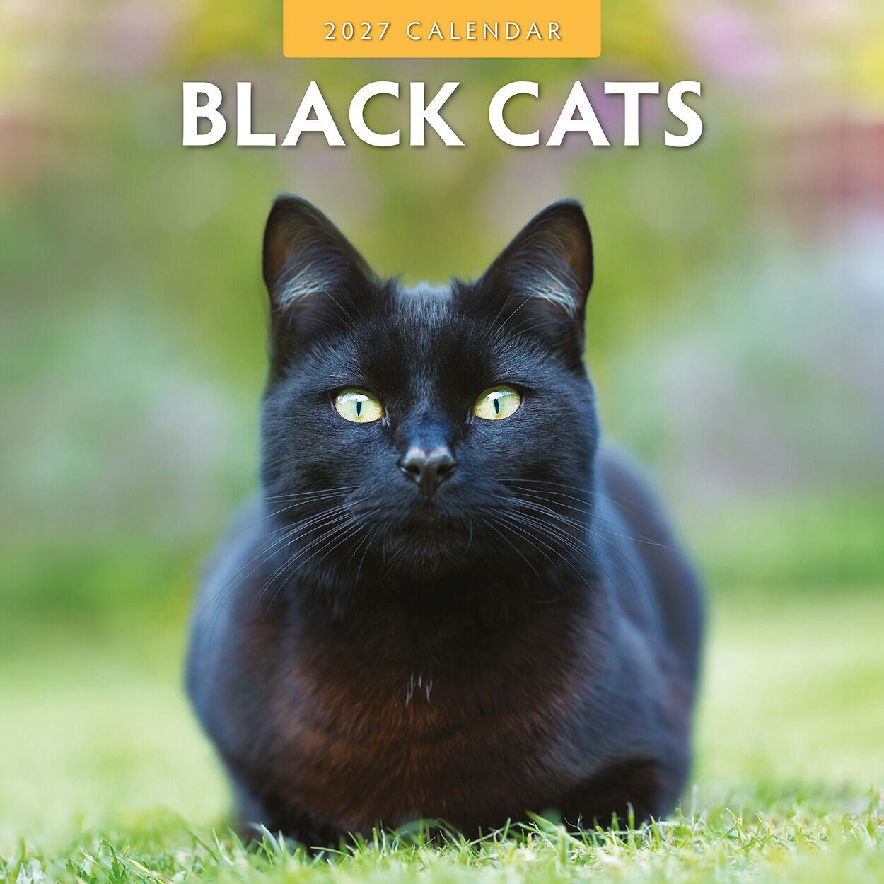 Black Cats 2027 Calendar – back cover showing all 16 monthly black cat photos