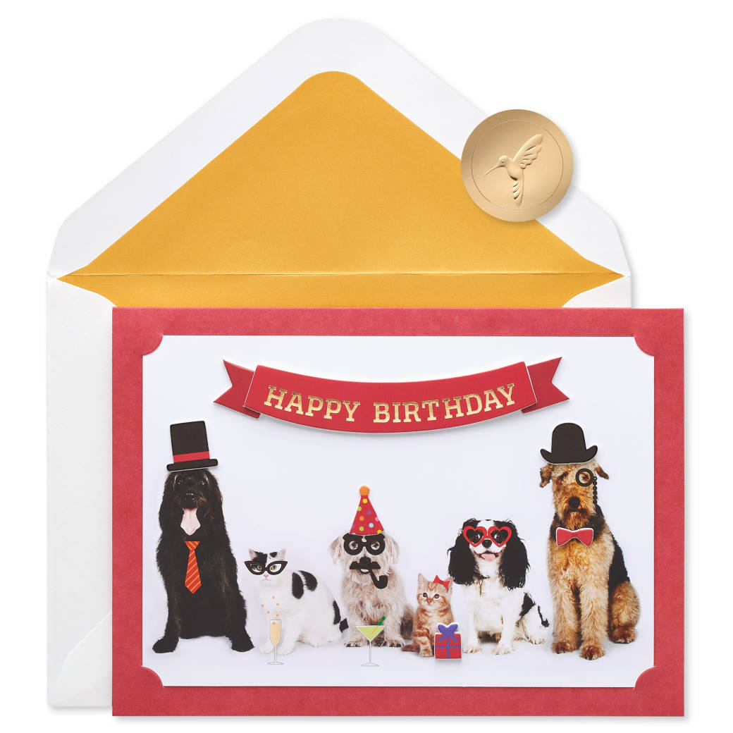 Papyrus - Dogs and cats with illustrated and paper attachment Card