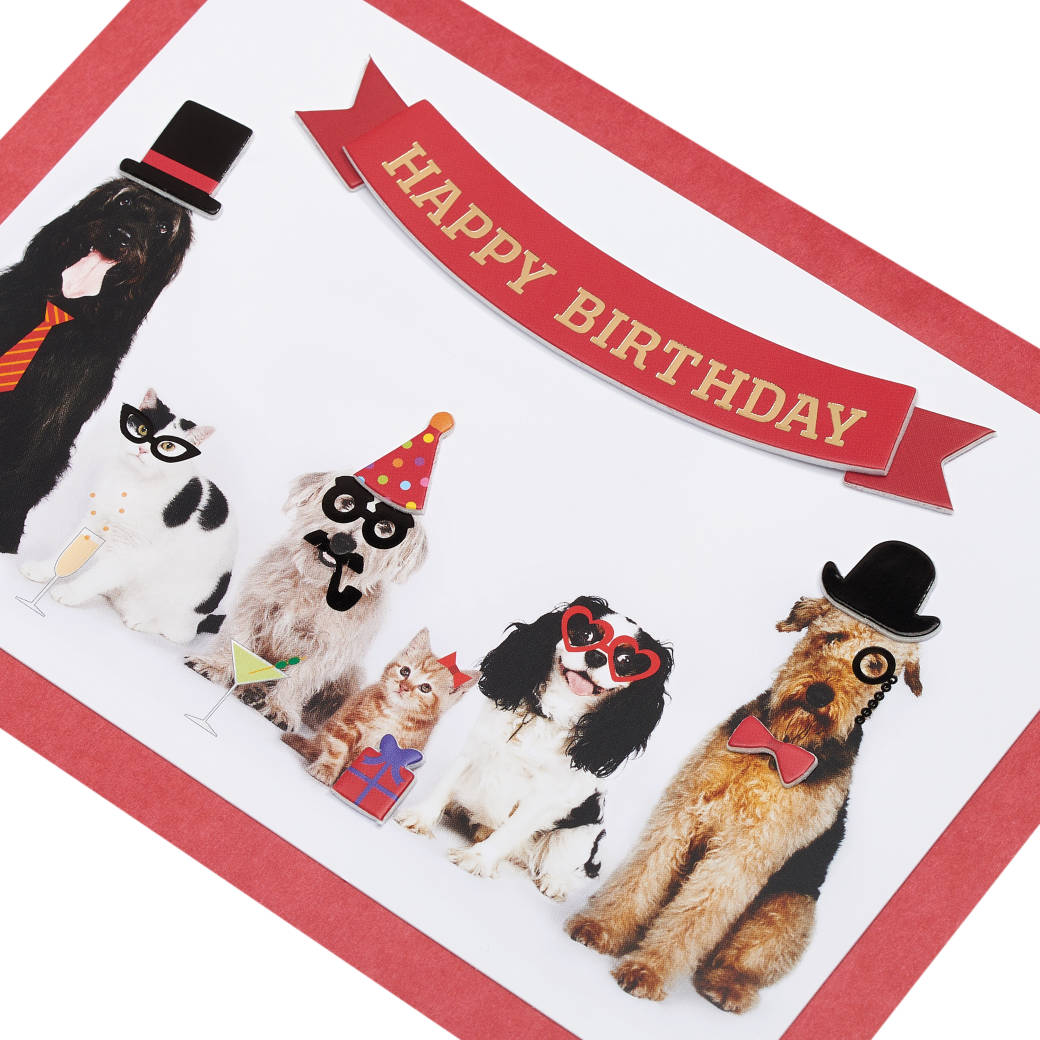 Papyrus - Dogs and cats with illustrated and paper attachment Card