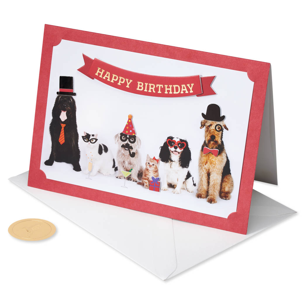 Papyrus - Dogs and cats with illustrated and paper attachment Card