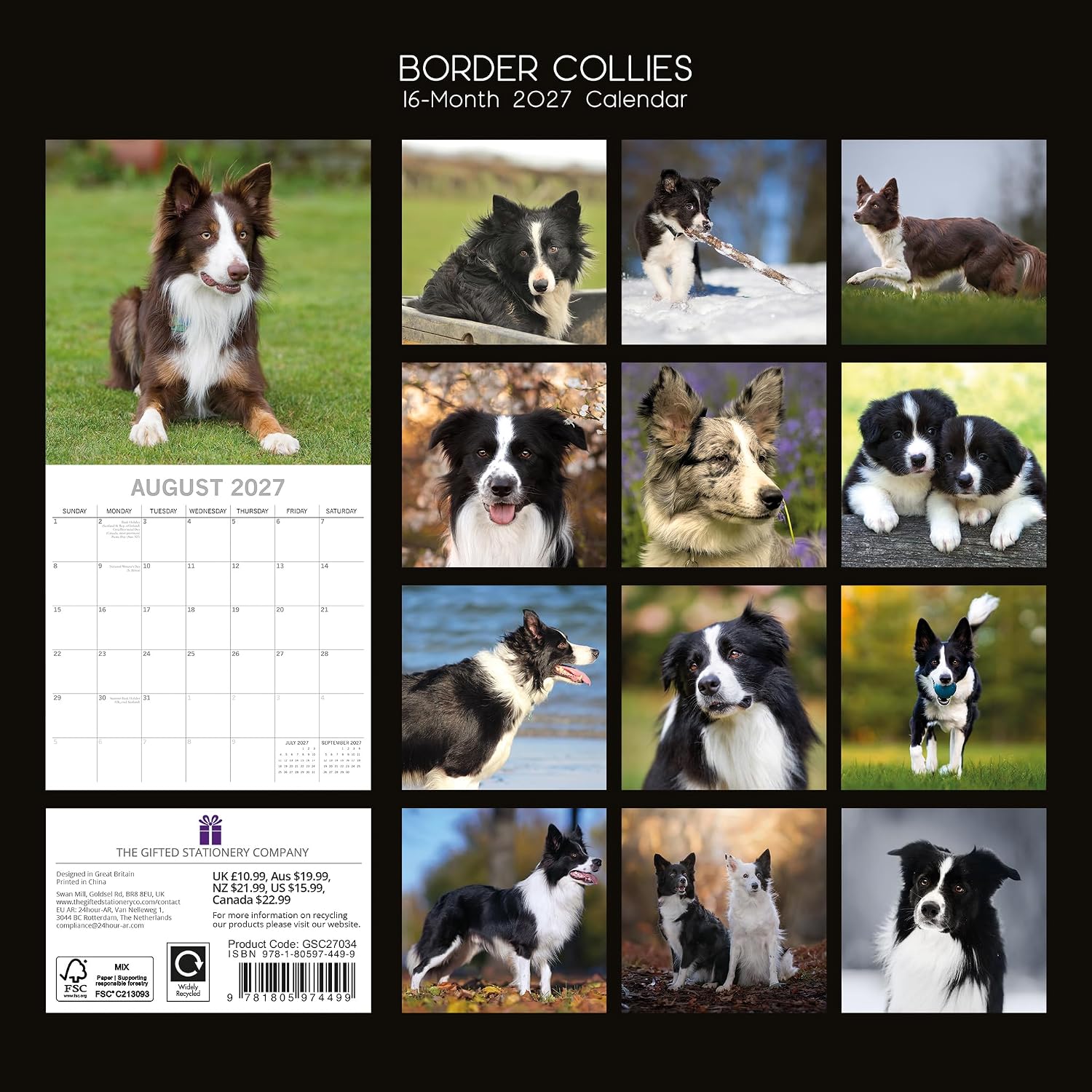 Border Collies 2027 Calendar - lifestyle shot hung on wall showing January 2027 page with puppy in snow