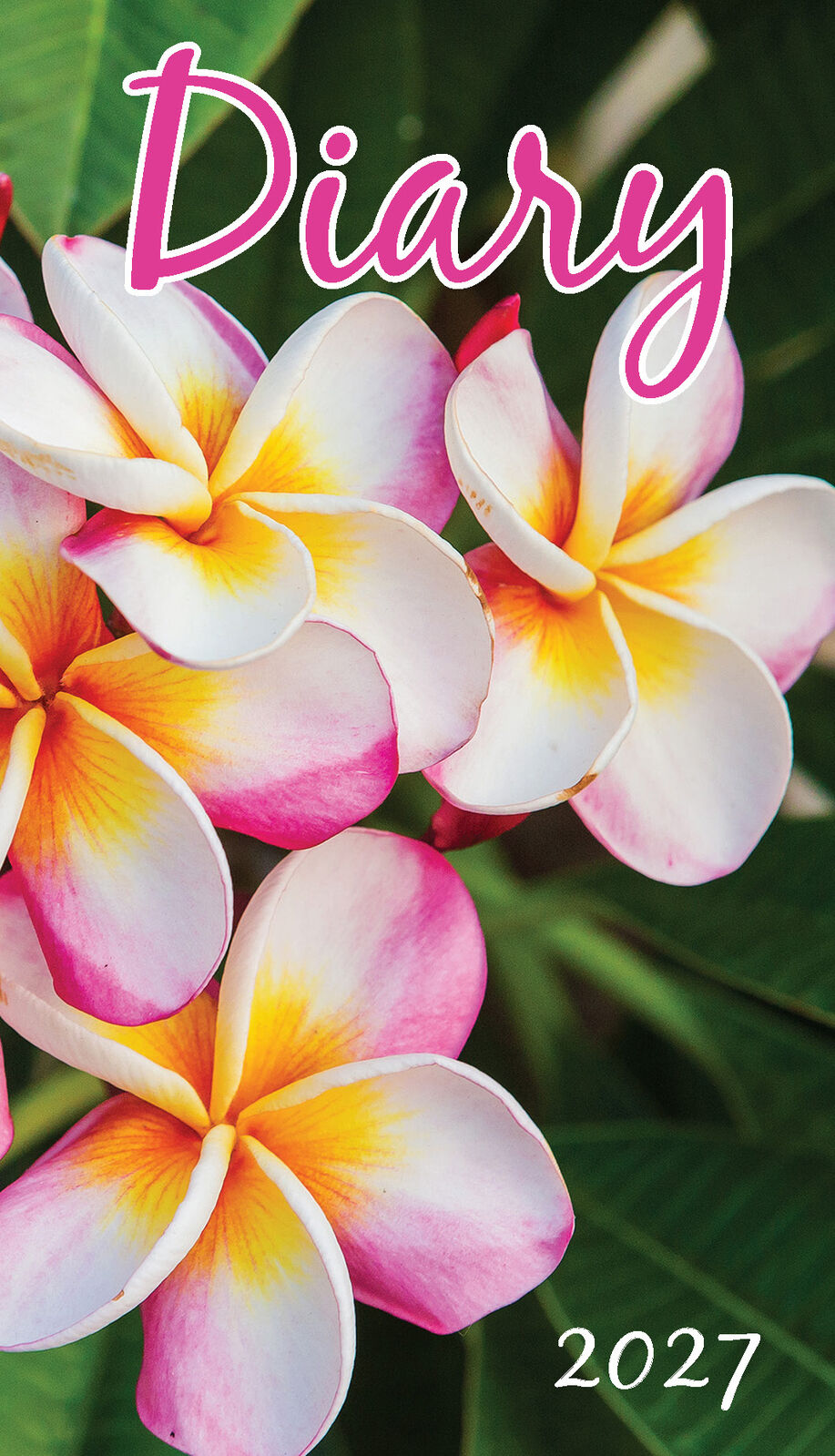 2027 Bartel Pocket Diary - Frangipani cover with tropical pink and white flowers