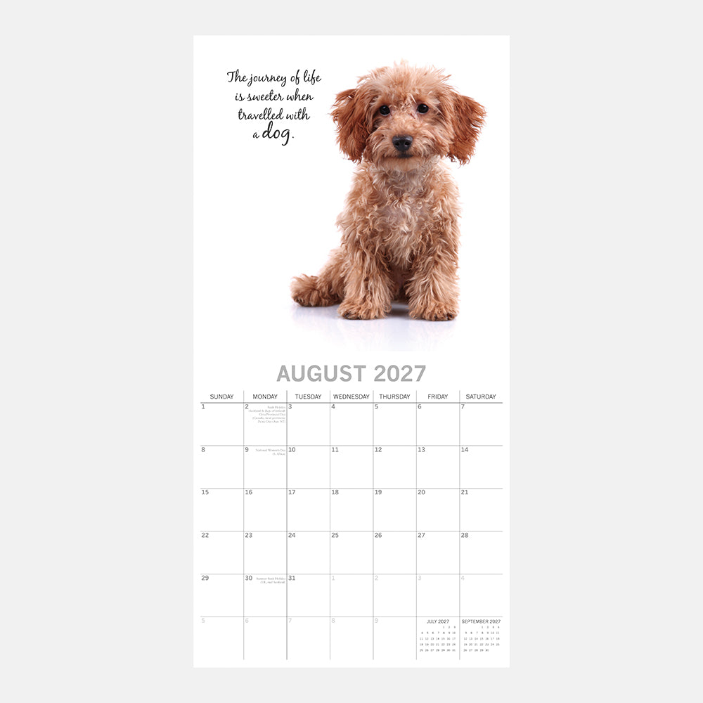 Adorable Dogs 2027 Calendar - August 2027 page with fluffy apricot Cavapoo puppy on white background with inspirational dog quote