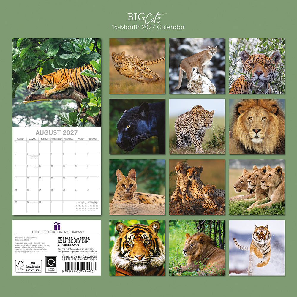 2027 Big Cats Square Wall Calendar – back cover showing all 16 monthly wildlife photos
