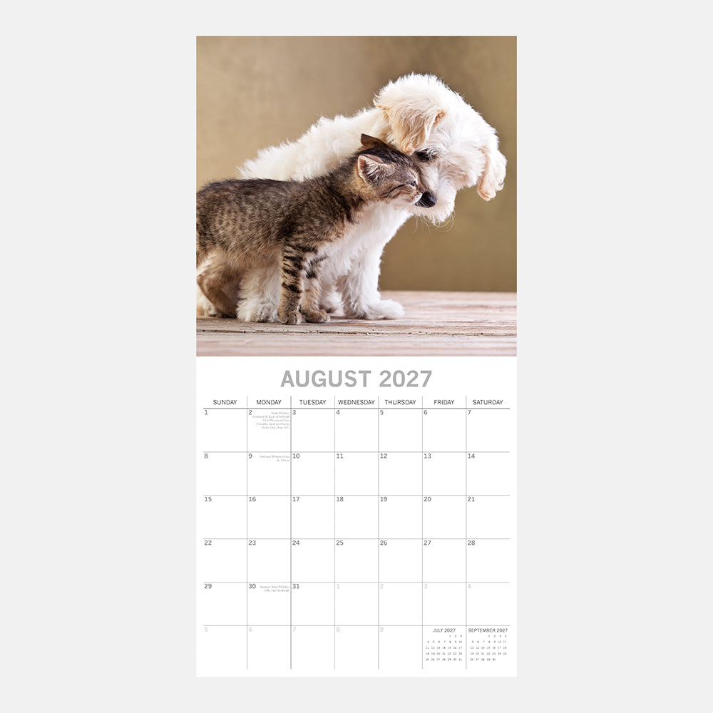 Cats & Dogs 2027 Calendar - August 2027 page with fluffy white puppy nuzzling tabby kitten on wooden surface