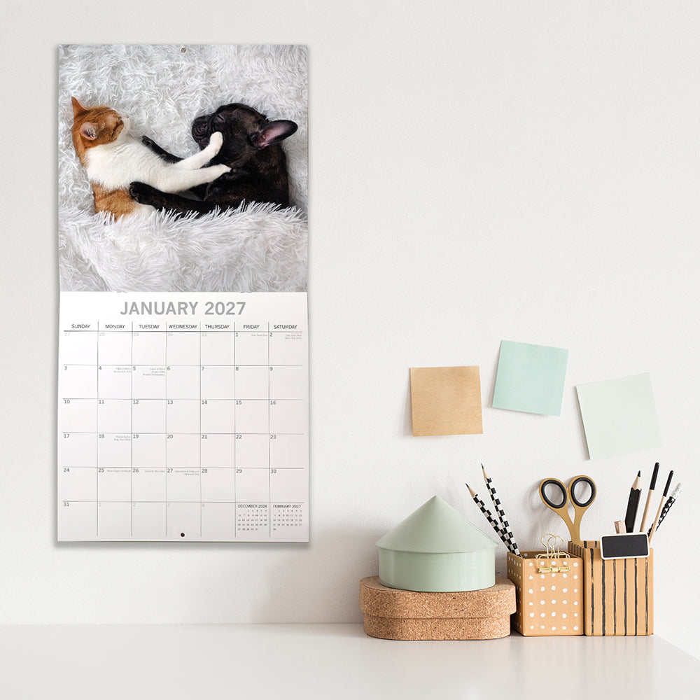 Cats & Dogs 2027 Calendar - lifestyle shot on wall showing January 2027 page with orange tabby cat and black French Bulldog sleeping together on white fluffy rug