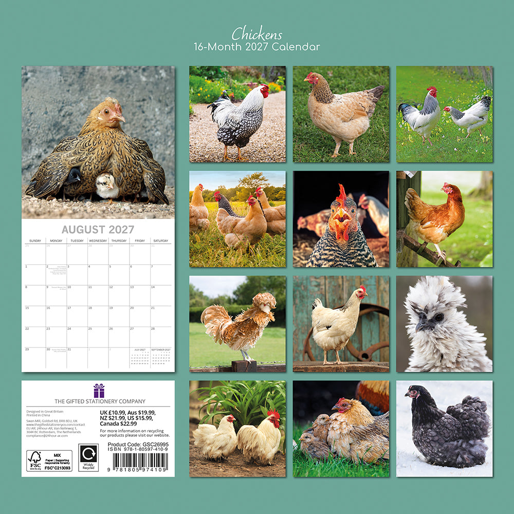 Chickens 2027 Calendar - back cover on teal background showing all 16 monthly chicken photos including Silver Laced Wyandotte rooster, Buff Orpington, Barred Rock, Silkie, Cochin, Australorp and hen with chicks, product code GSC26995, ISBN 9781805974109, AU $19.99