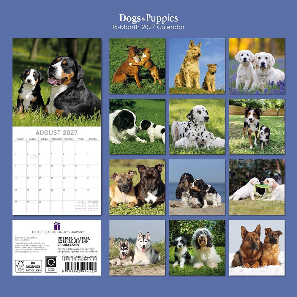 Dogs & Puppies 2027 Calendar - back cover on blue background showing all 16 monthly photos including Greater Swiss Mountain Dog, Boxer, Dalmatian, Border Collie, Labrador, Husky, German Shepherd and more with their puppies, product code GSC27003