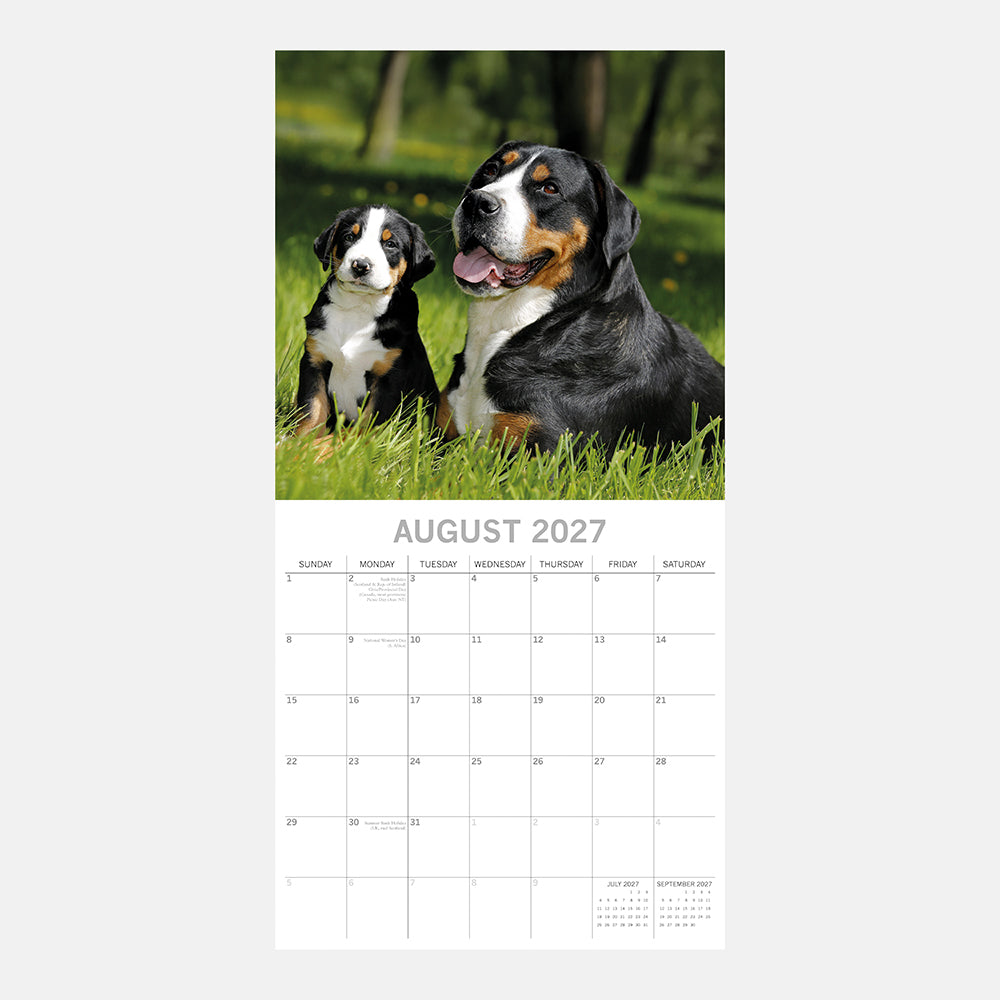 Dogs & Puppies 2027 Calendar - August 2027 page with Greater Swiss Mountain Dog adult and tricolour puppy sitting together on green grass in woodland