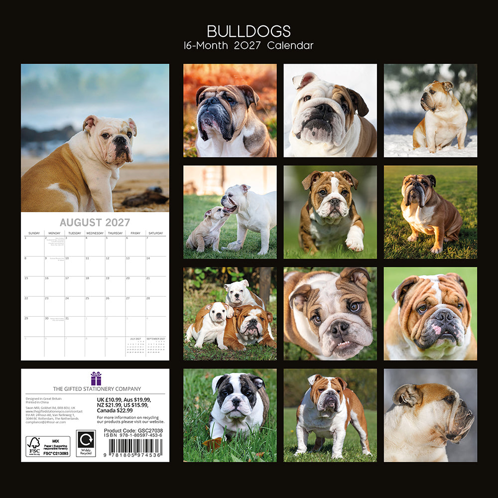 Bulldogs 2027 Calendar - back cover showing all 16 monthly photos and product details