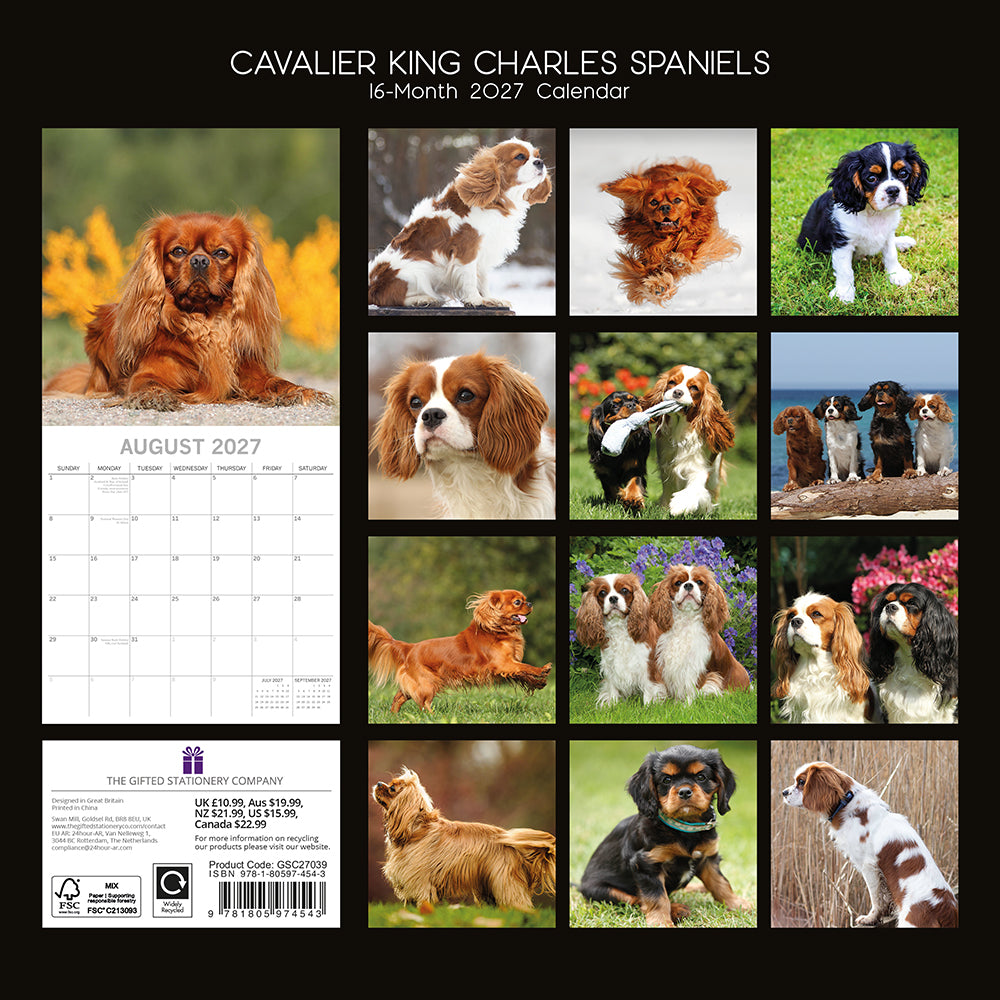 Cavalier King Charles Spaniels 2027 Calendar - back cover showing all monthly photos and product details