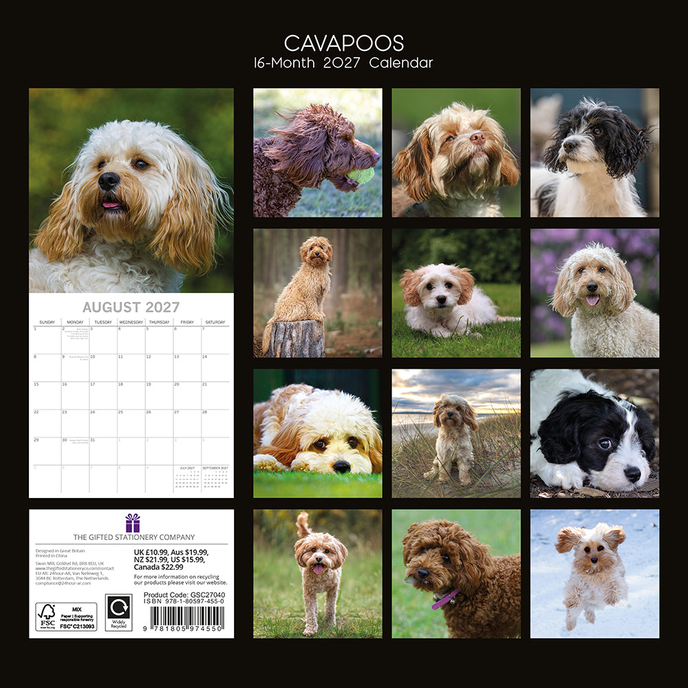 Cavapoos 2027 Calendar - back cover showing all 16 monthly photos featuring cream, apricot, chocolate, black and tricolour Cavapoos