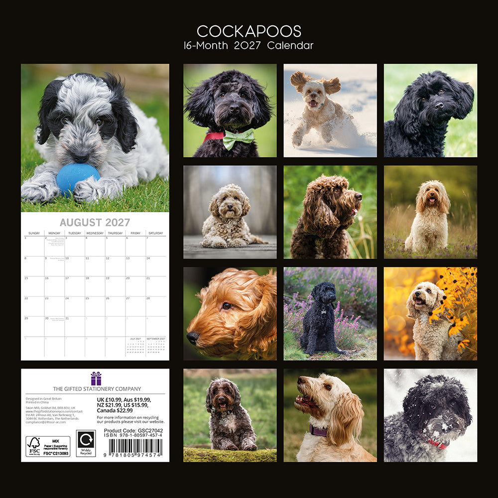 Cockapoos 2027 Calendar - back cover showing all 16 monthly photos featuring cream, black, chocolate, golden and roan Cockapoos
