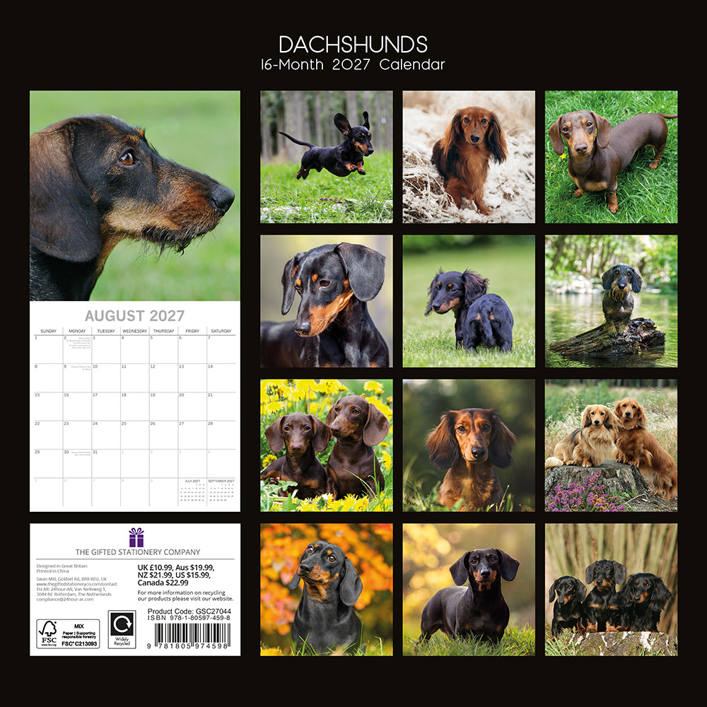 Dachshunds 2027 Calendar - back cover showing all monthly photos and product details