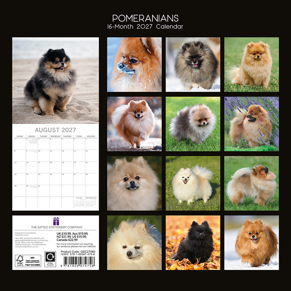 Pomeranians 2027 Calendar - back cover showing all 16 monthly photos with orange, black, cream, grey, sable and black & tan Pomeranians, product code GSC27060