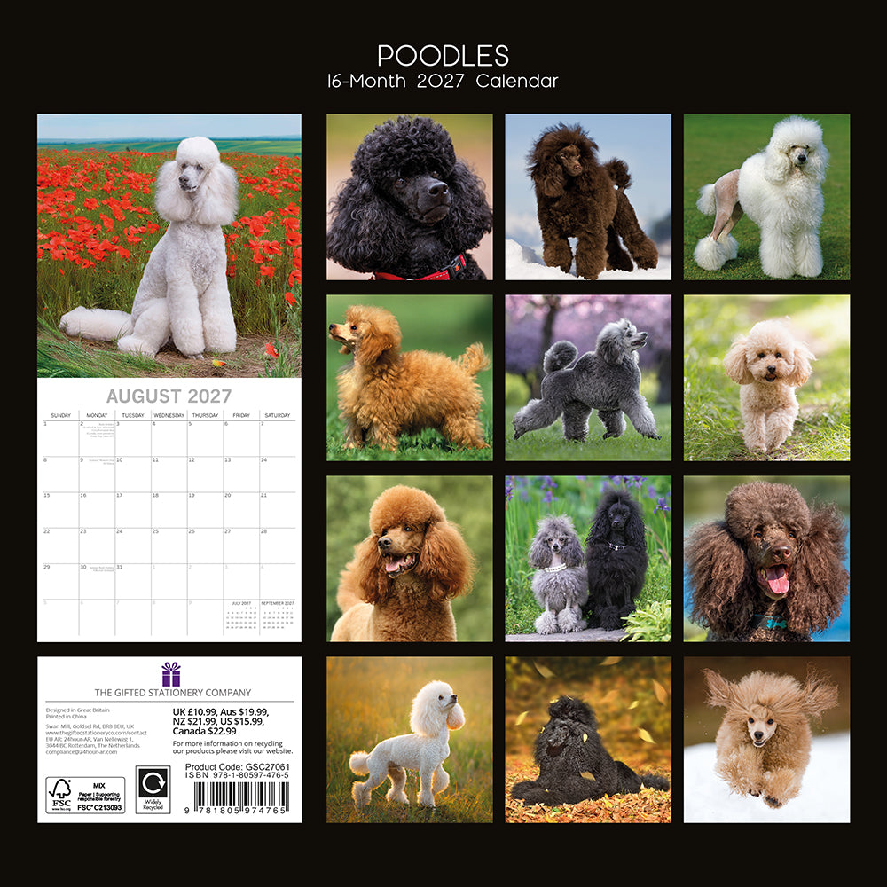 Poodles 2027 Calendar - back cover showing all 16 monthly photos including white, black, brown, red, apricot and grey Poodles