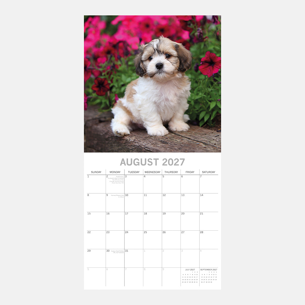 Shih Tzu 2027 Calendar - August 2027 page with gold and white Shih Tzu puppy sitting on log among pink petunias