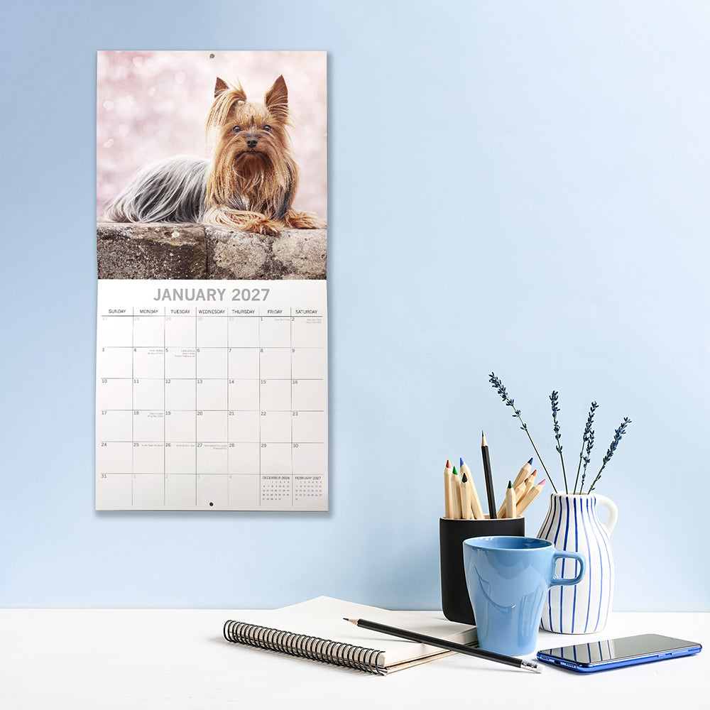 Yorkshire Terriers 2027 Calendar - lifestyle shot on desk showing January 2027 page with long-coated Yorkie resting on stone wall with pink bokeh background