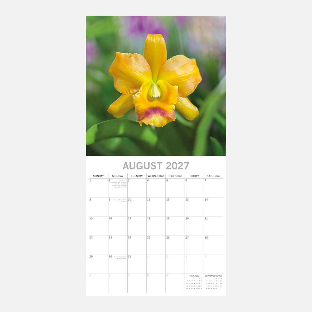Orchids 2027 Calendar – August 2027 page featuring golden yellow Cattleya orchid close-up