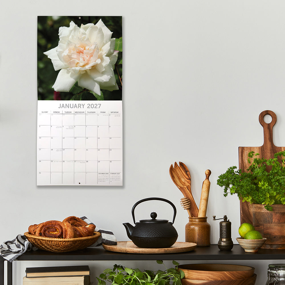 Roses 2027 Square Wall Calendar – January 2027 lifestyle shot featuring a white rose calendar on a kitchen wall
