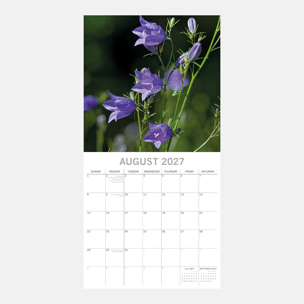 Wild Flowers 2027 Calendar – August 2027 page featuring close-up of purple harebell wildflowers