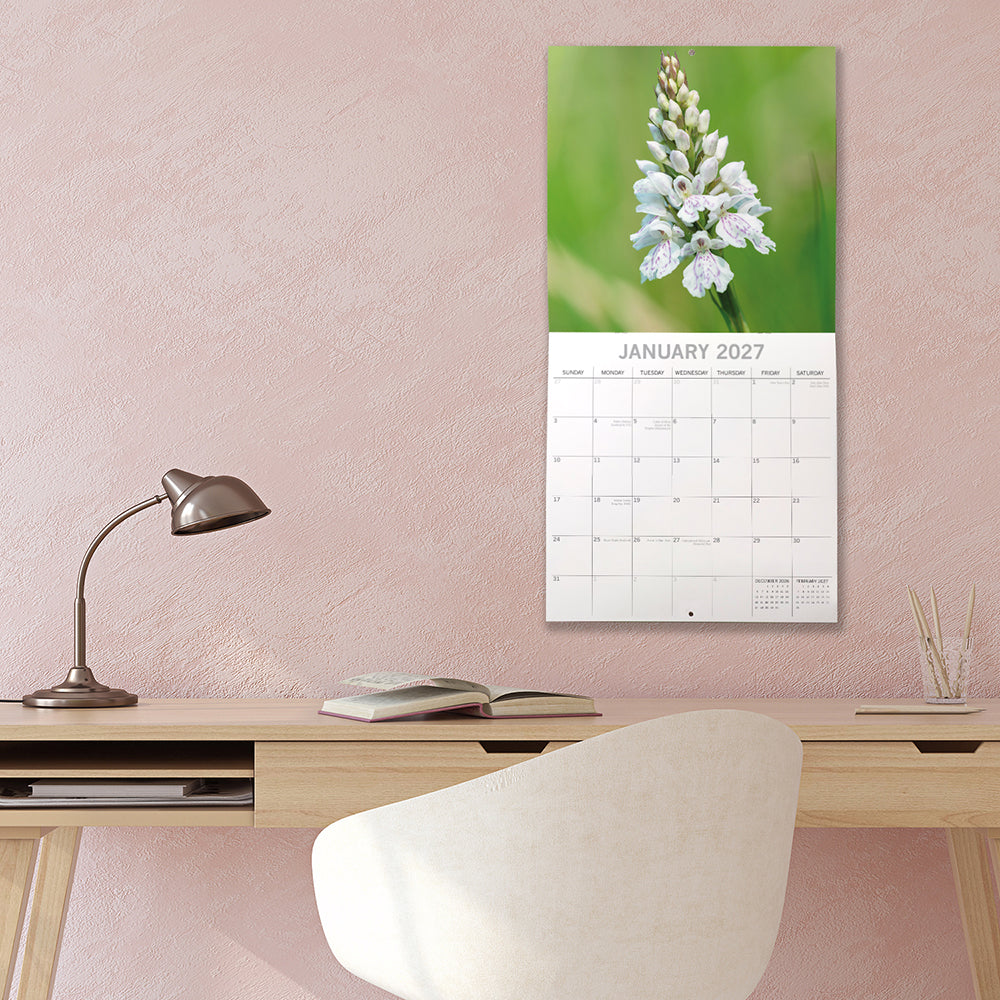 Wild Flowers 2027 Calendar – January 2027 lifestyle shot on pink wall above desk featuring white wild orchid spike