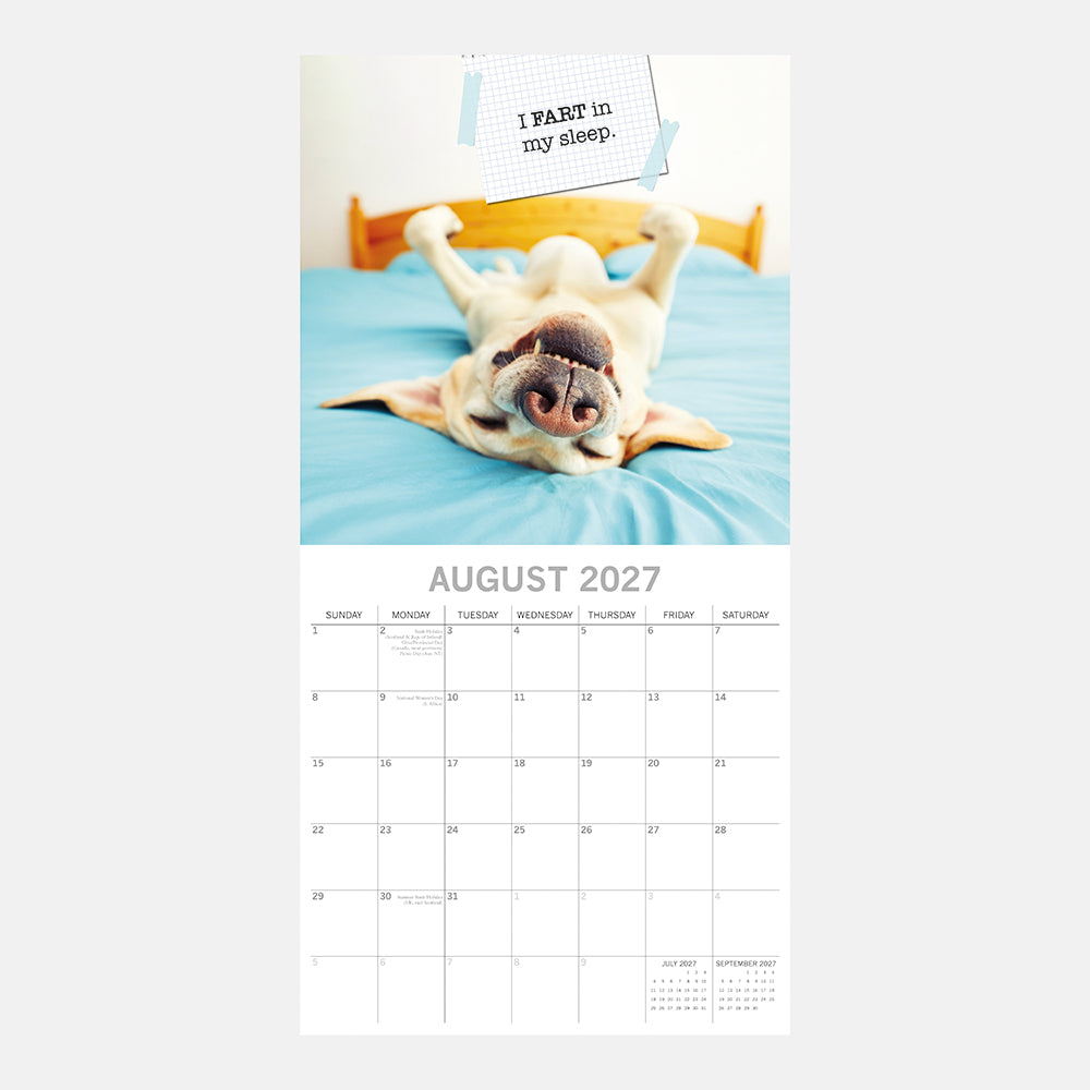 Dog Shaming 2027 Calendar – August 2027 page featuring Labrador lying upside down on bed with I FART in my sleep confession note