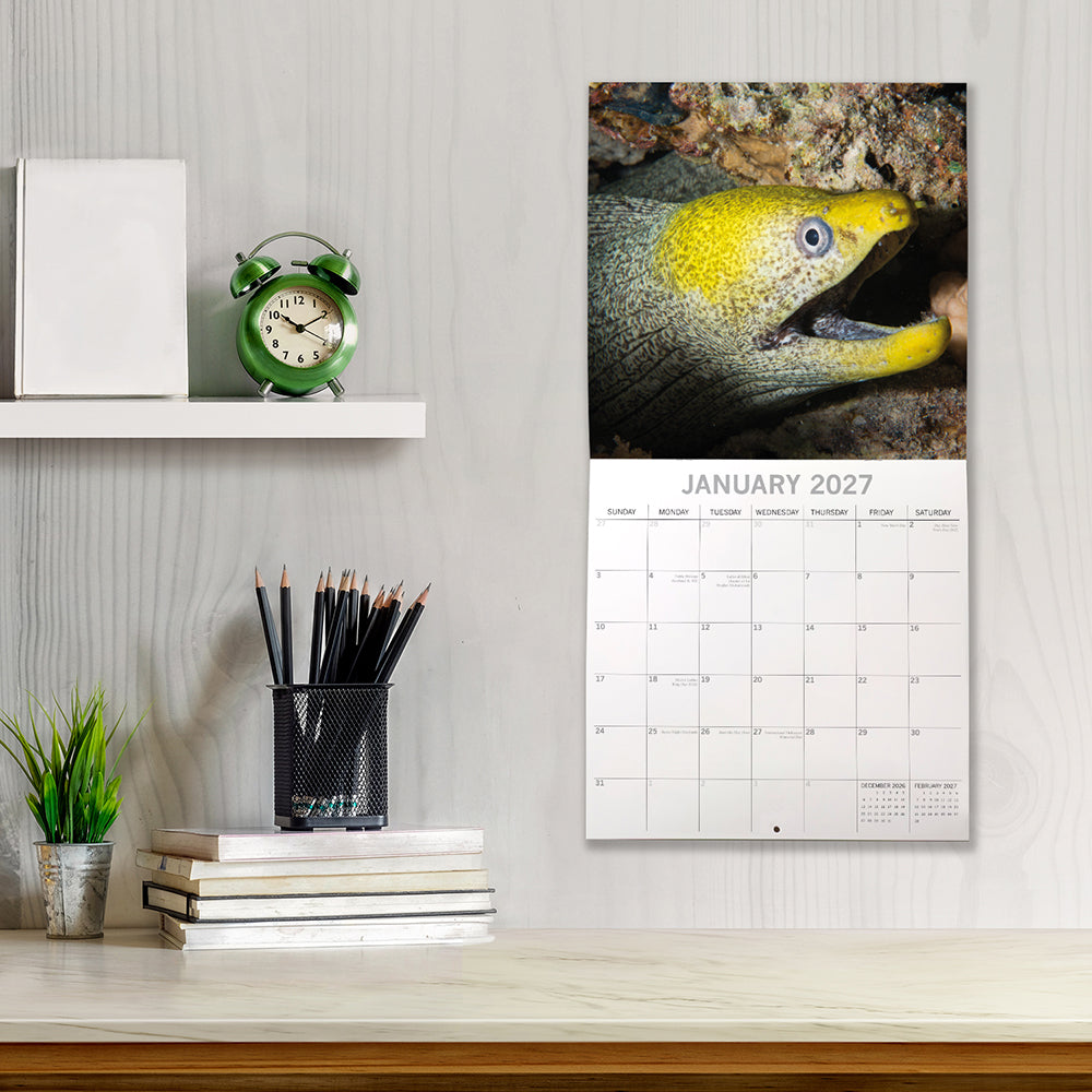 Under the Sea 2027 Square Wall Calendar - January 2027 lifestyle shot hung on wall above a styled home office desk