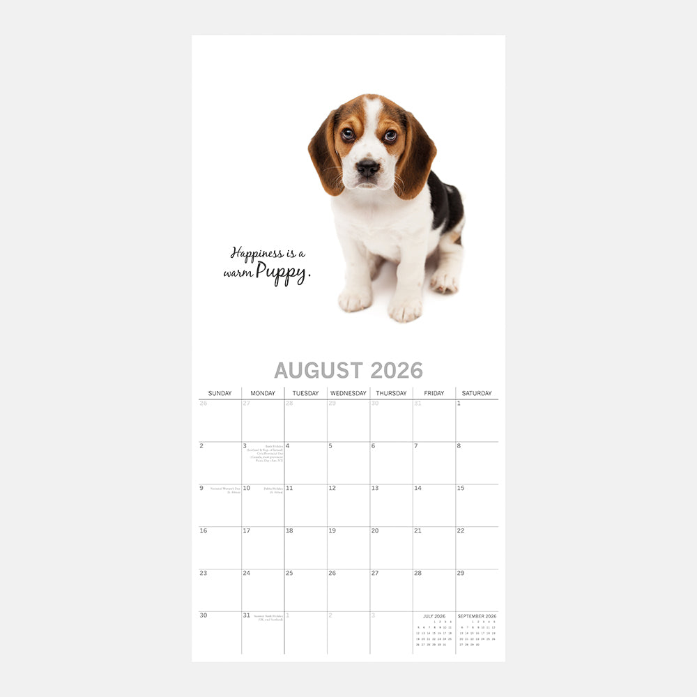 2026 Square Wall Calendar – Adorable Dogs - Gifted Stationery (GSC26055)