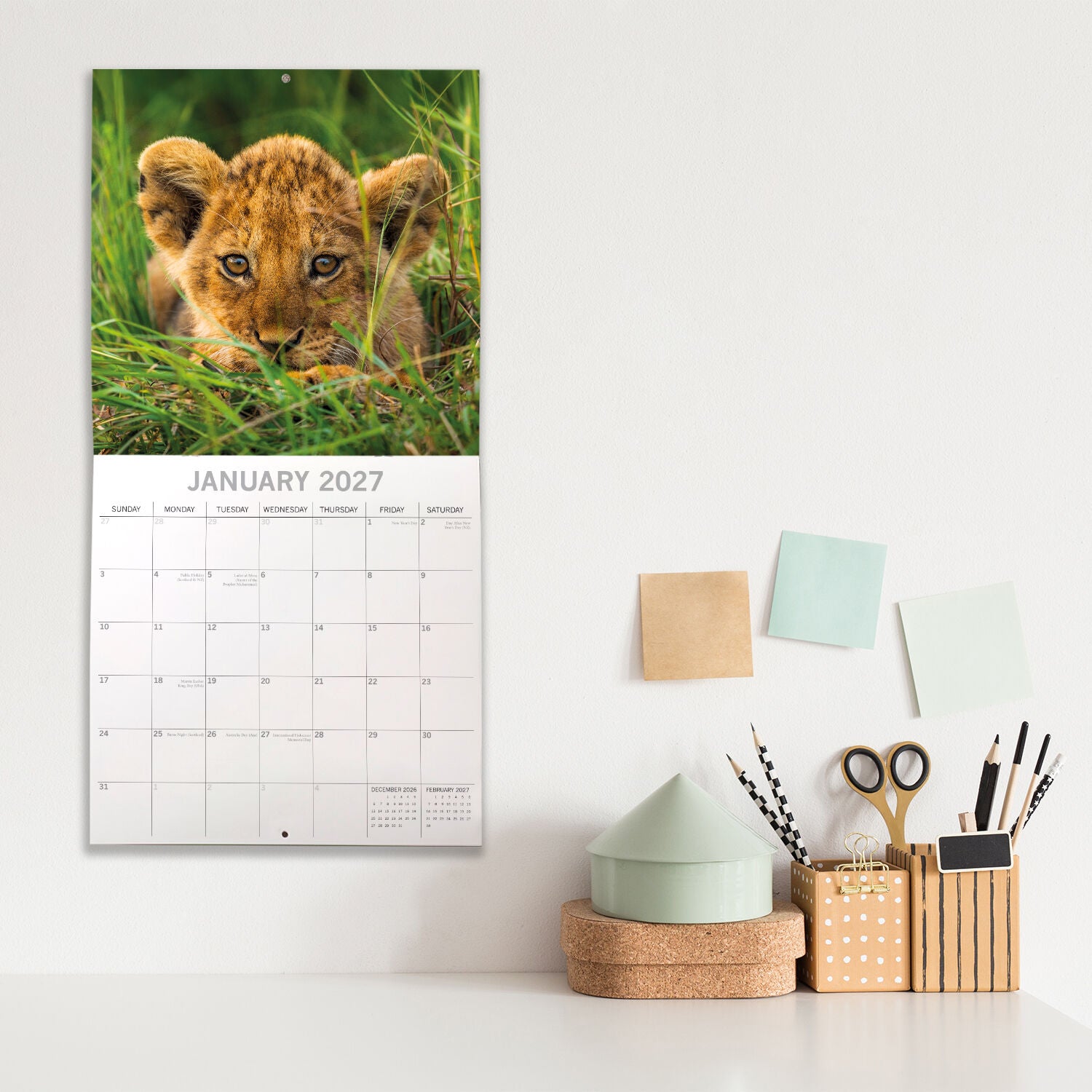 2027 Baby Animals Square Wall Calendar – front cover with lion cub