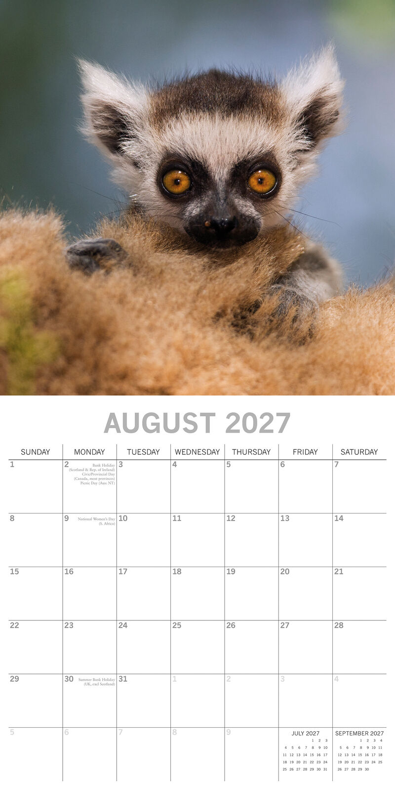 2027 Baby Animals Square Wall Calendar – August 2027 month view with lemur photo