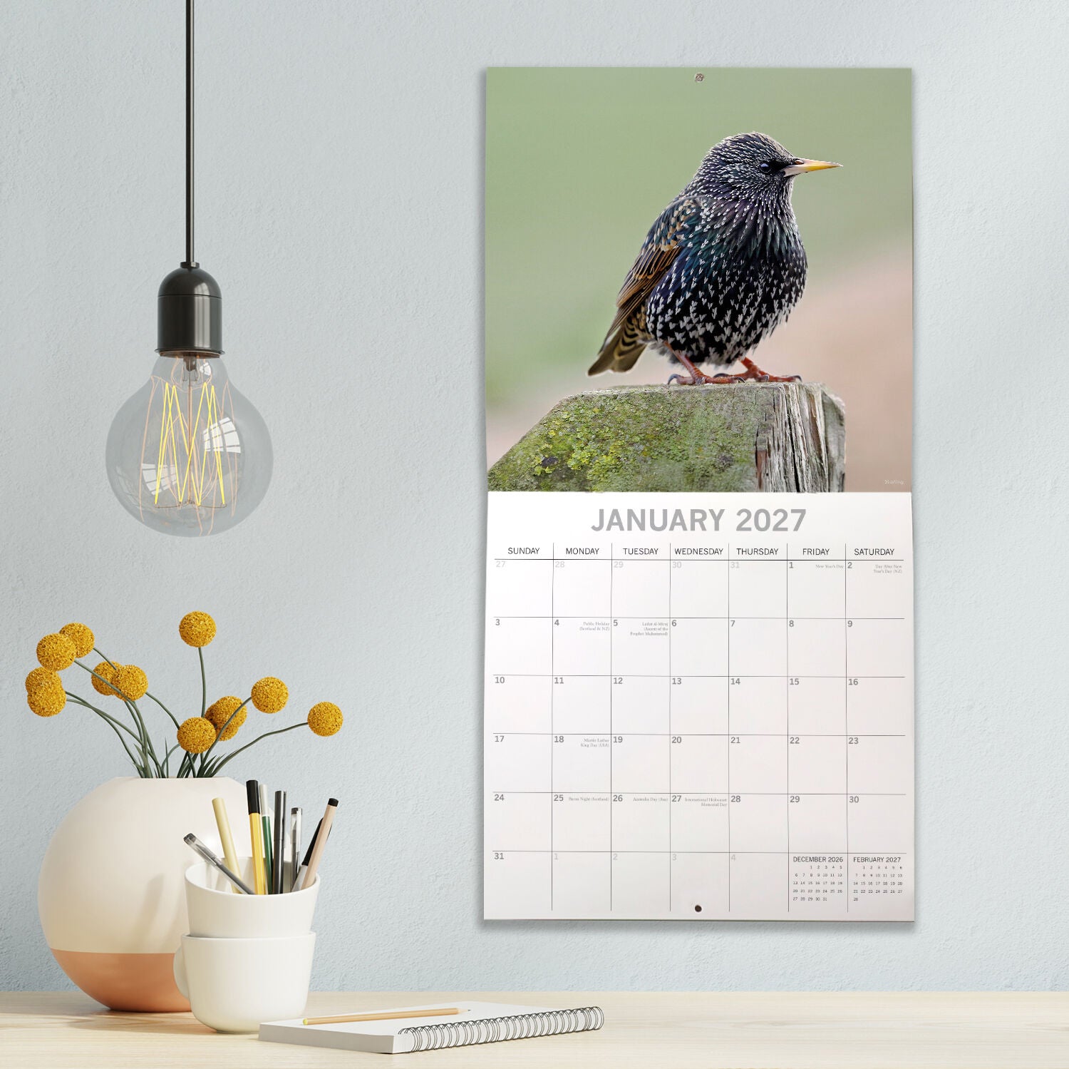 2027 Birds Square Wall Calendar – front cover with bullfinch on blossom branch